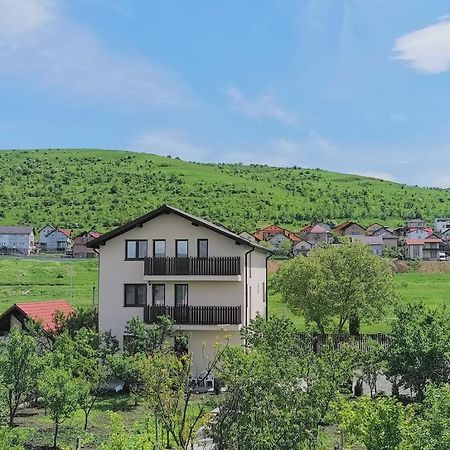 Pensiunea Albina Sinnicoara Exterior photo