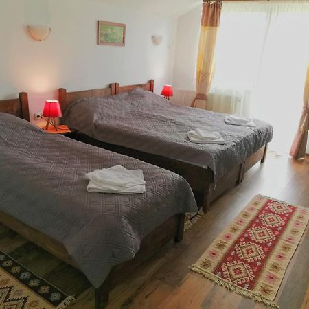 Pensiunea Albina Sinnicoara Room photo