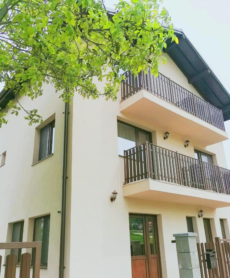 Pensiunea Albina Sinnicoara Exterior photo