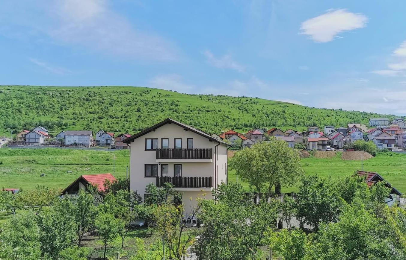 Pensiunea Albina Sinnicoara Exterior photo