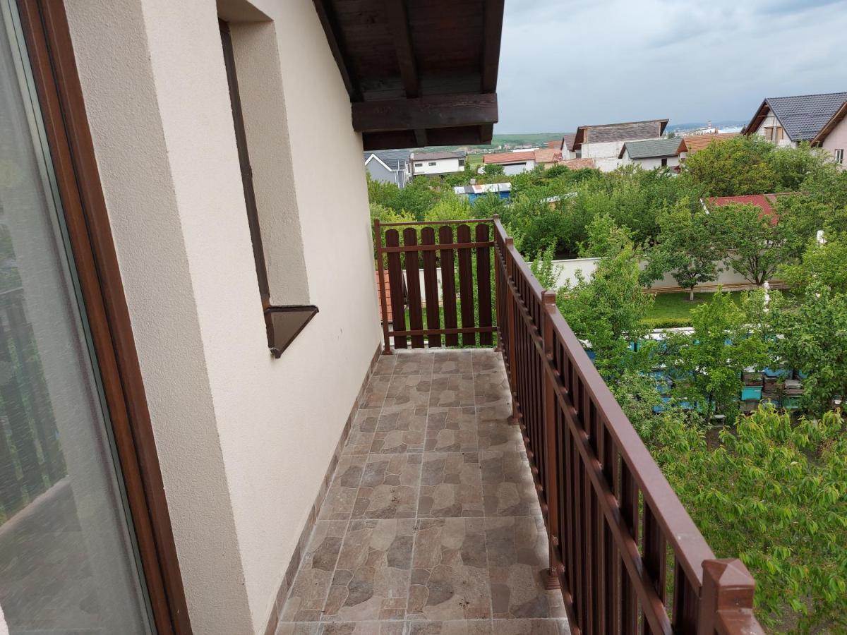 Pensiunea Albina Sinnicoara Exterior photo