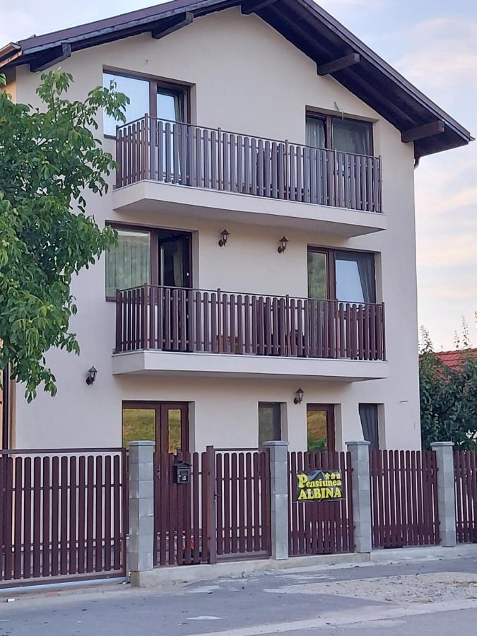 Pensiunea Albina Sinnicoara Exterior photo