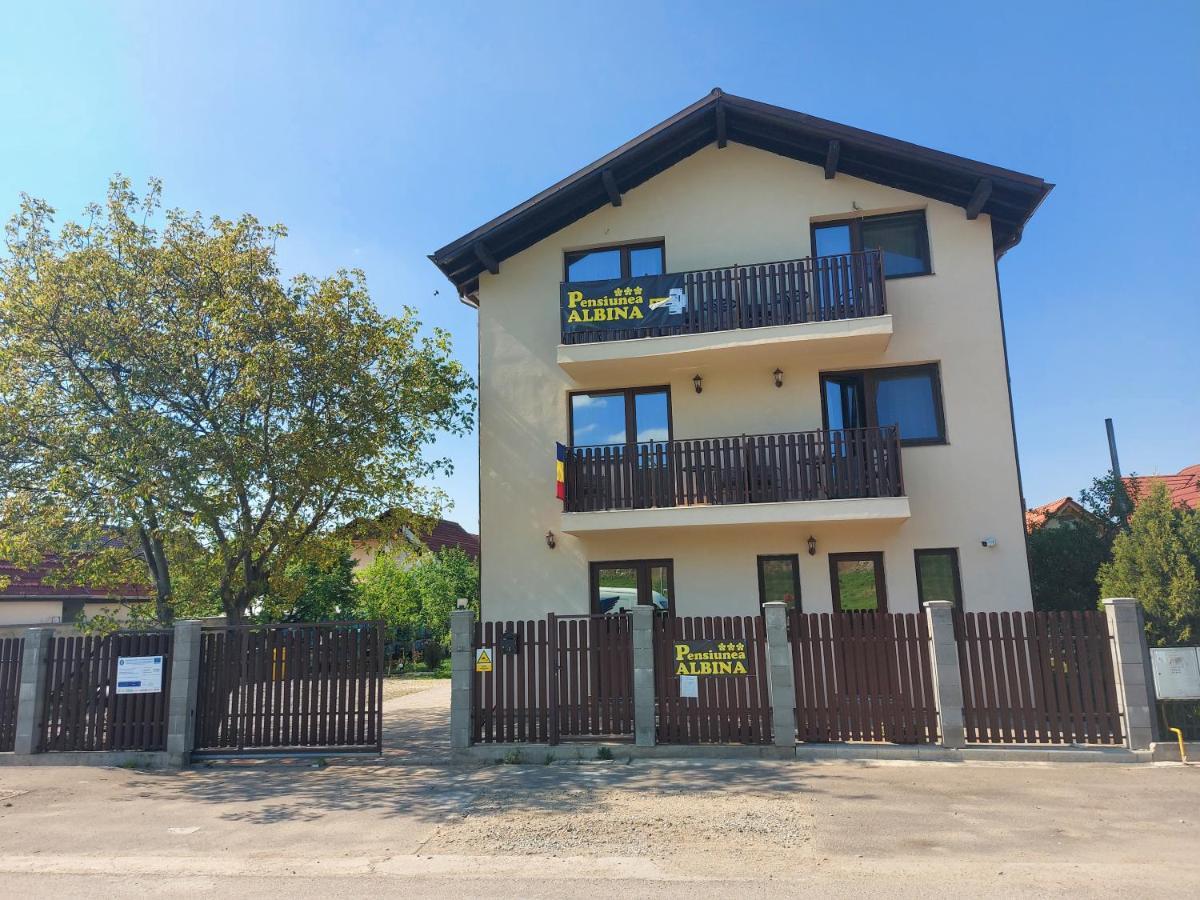 Pensiunea Albina Sinnicoara Exterior photo