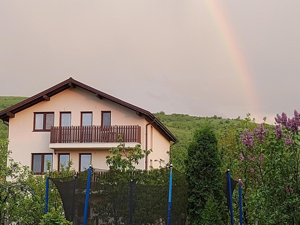 Pensiunea Albina Sinnicoara Exterior photo