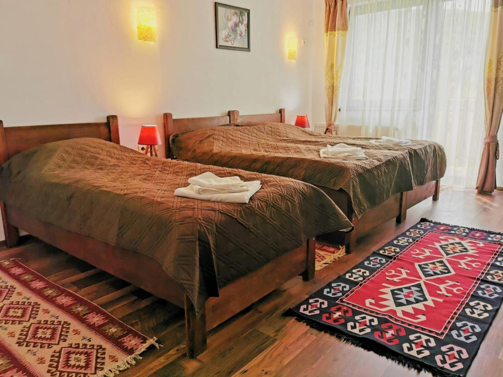 Pensiunea Albina Sinnicoara Room photo
